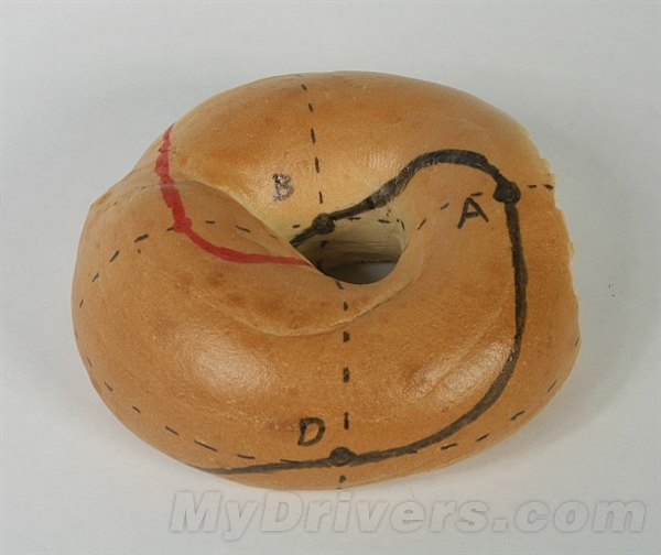 不明觉厉:科学家将面包圈切成两连环