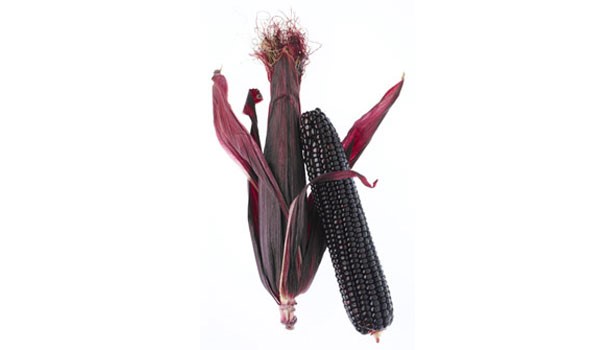 purple corn