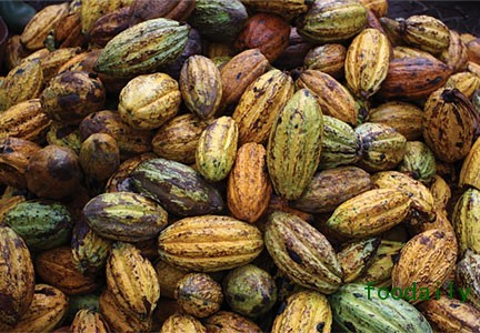 CocoaPods_Embedded