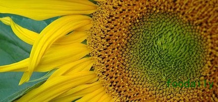 237d3688564d67d1bf413bb66f0523bb