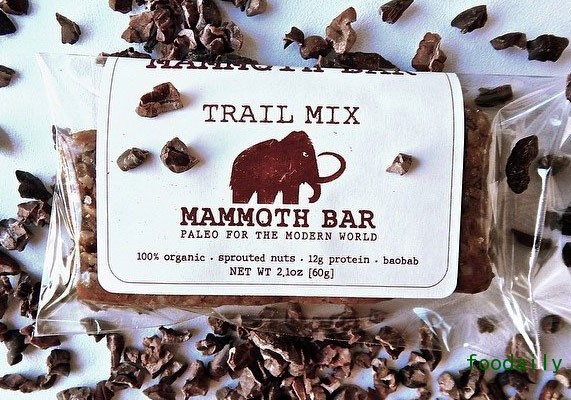 PaleoMammothBar.jpg