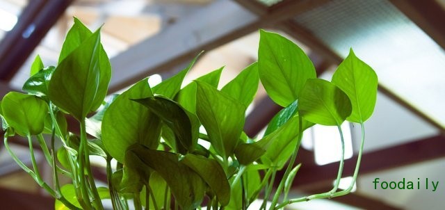 c22b799d9d3055fadb1e1d38d59d12a0