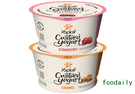 YoplaitCustard_Embedded.jpg