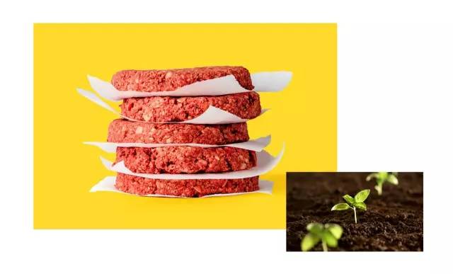 说明: C:\Users\Huang\Desktop\fooddaliy\编辑文稿\7\03.jpg