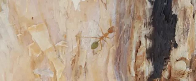 说明: C:\Users\Jason\Desktop\fooddaily\7\02.jpg