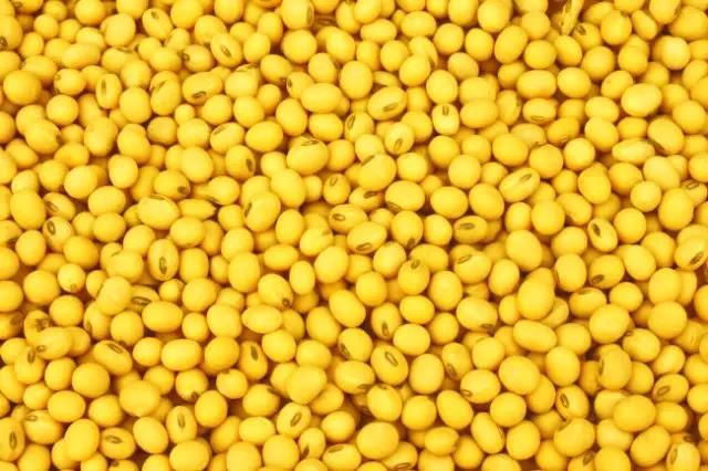 说明: C:\Users\Huang\Desktop\fooddaliy\编辑文稿\1\01.jpg