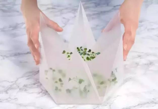 说明: C:\Users\Huang\Desktop\fooddaliy\编辑文稿\2\01.jpg