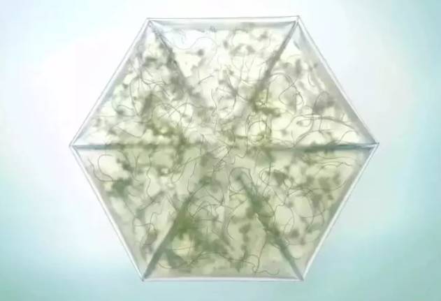 说明: C:\Users\Huang\Desktop\fooddaliy\编辑文稿\2\01.jpg