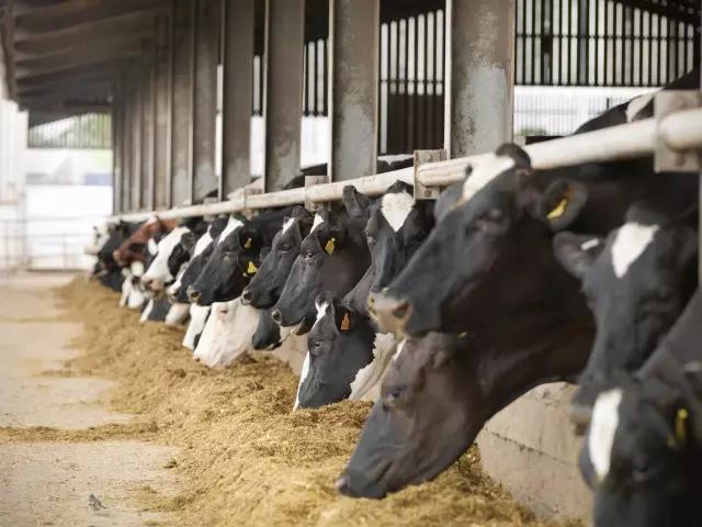 说明: C:\Users\Huang\AppData\Local\Microsoft\Windows\INetCache\Content.Word\01.jpg