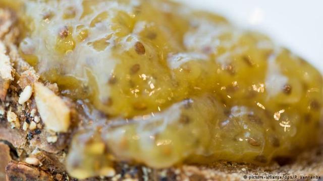 说明: C:\Users\Huang\AppData\Local\Temp\WeChat Files\f96848095aa0d7710b0fee3342ba304b.jpg