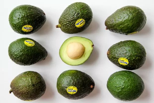 说明: C:\Users\Jason\AppData\Local\Temp\WeChat Files\1dae7f9aa51c03ce49a6cd6dffb2ce43.jpg