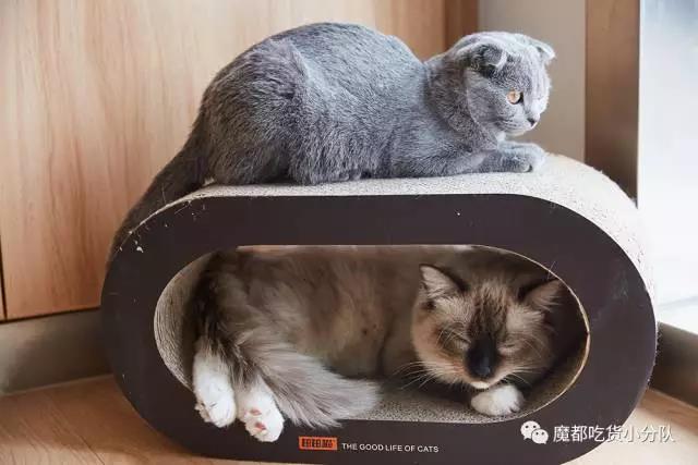 说明: C:\Users\Huang\AppData\Local\Temp\WeChat Files\f74f8cbee852ae32a78824a12f664020.jpg