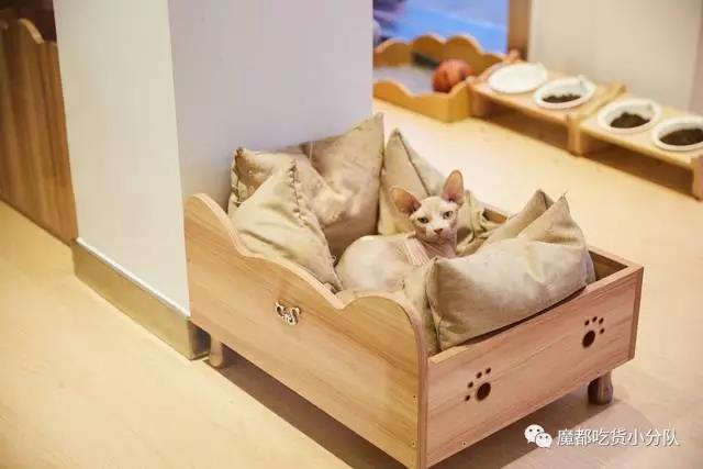 说明: C:\Users\Huang\AppData\Local\Temp\WeChat Files\f74f8cbee852ae32a78824a12f664020.jpg