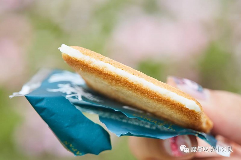 说明: C:\Users\Jason\AppData\Local\Temp\WeChat Files\553937642fa134eee542f7fecda429d6.jpg