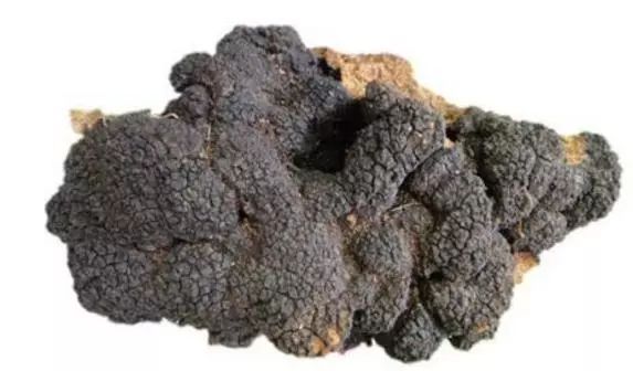 说明: C:\Users\Jason\AppData\Local\Temp\WeChat Files\9c0101a31796305a75c3122492b7b2a6.jpg