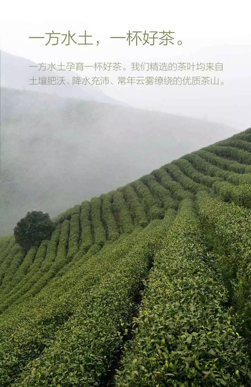 说明: C:\Users\Jason\AppData\Local\Temp\WeChat Files\c558611d777a4c761cd3404e5b11420f.jpg