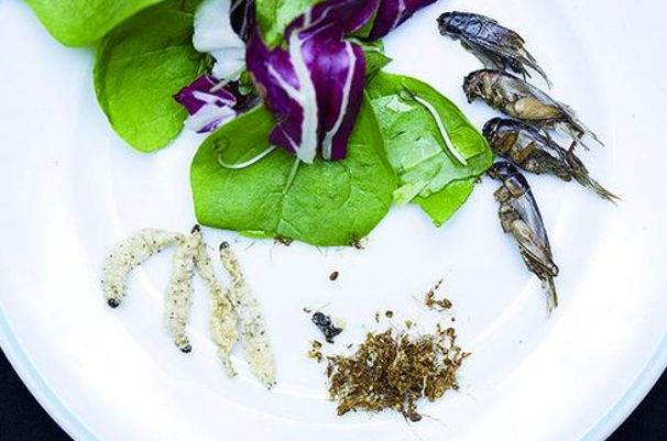 说明: C:\Users\Jason\AppData\Local\Temp\WeChat Files\222d845a8dbfc92c964945294fe788be.jpg