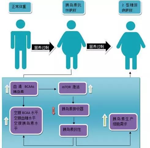 说明: C:\Users\Jason\AppData\Local\Temp\WeChat Files\0b25a836bb139f6e1b05136657eb0706.jpg