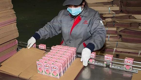 说明: C:\Users\Jason\Desktop\2.8\3\1.jpg