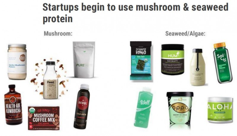 说明: C:\Users\Jason\AppData\Local\Temp\WeChat Files\d4e0e006b6c0e59ed7ffae40bfa5e3da.jpg