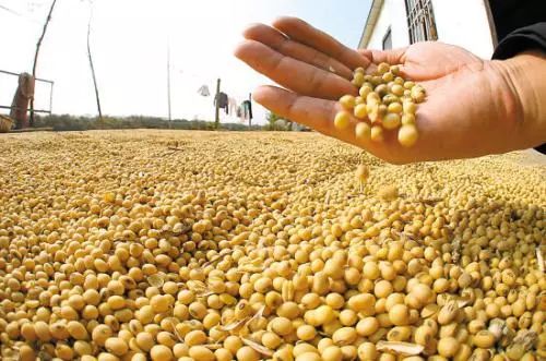 说明: C:\Users\Jason\AppData\Local\Temp\WeChat Files\289f63d041c308d64145efde52a6a475.jpg