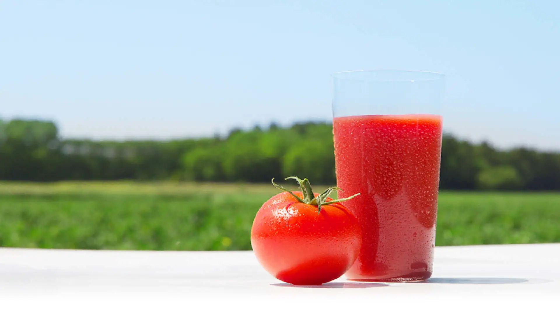 自创西红柿汁 库存照片. 图片 包括有 可食, 打赌的人, 红色, 鸡尾酒, 鲜美, 果子, 健康, 饮料 - 33019182