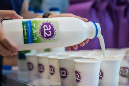 每日早报 | a2牛奶公司发布2024财年半年报，NOWWA挪瓦咖啡×阿华田联名推新......